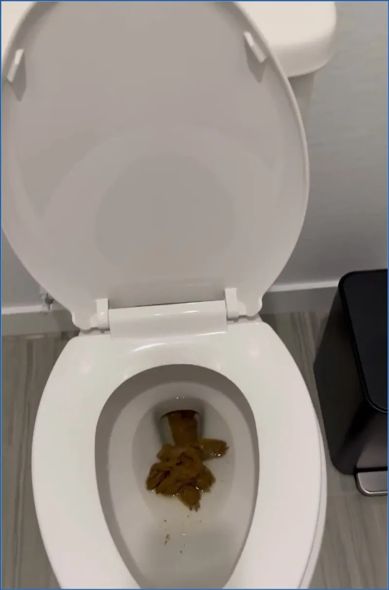 Kaitlyn Katsaros kör igång morgonen med skit och anal - scatvideo